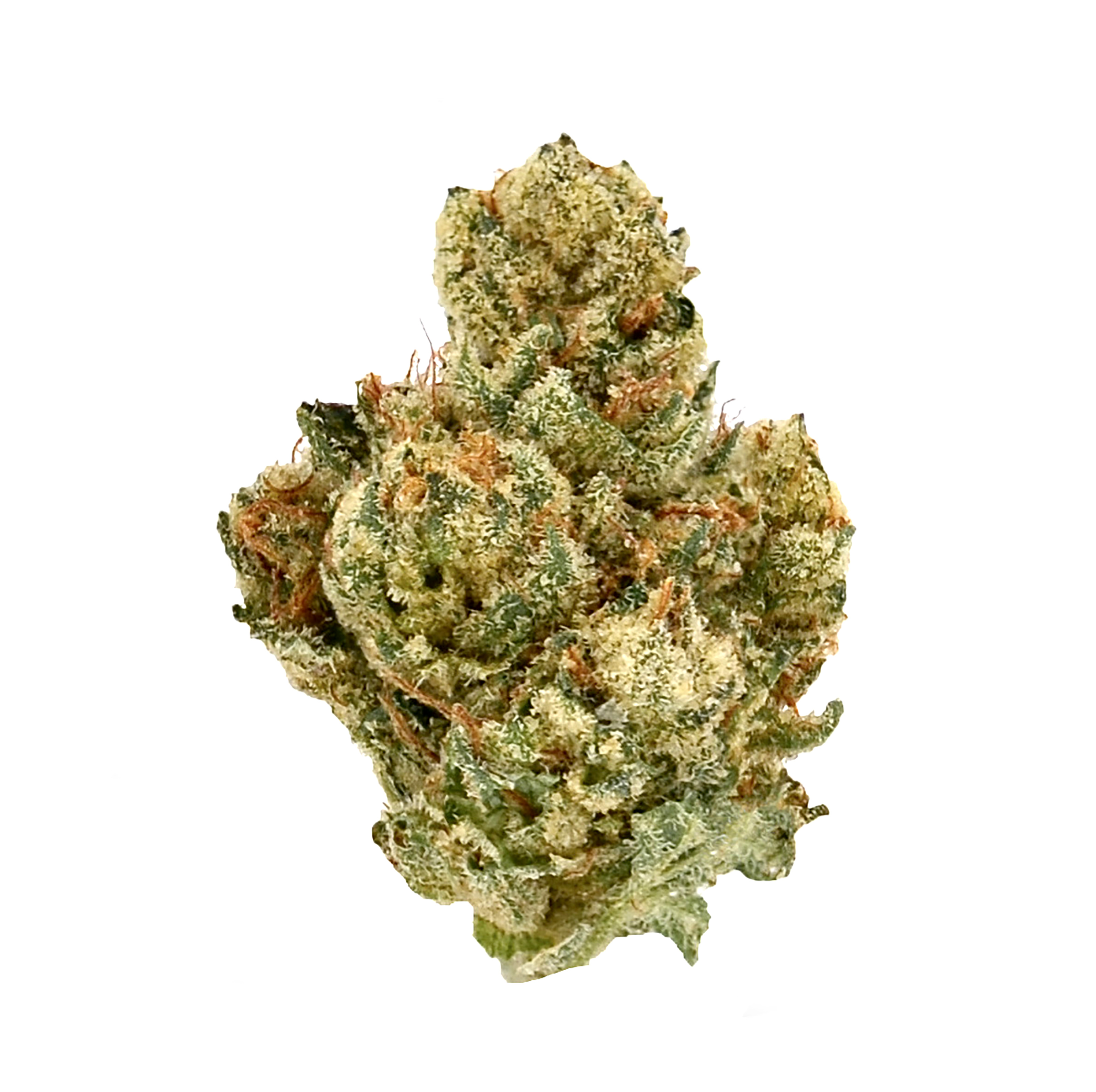 Alien Og · Ultra Exotic Smalls (I)