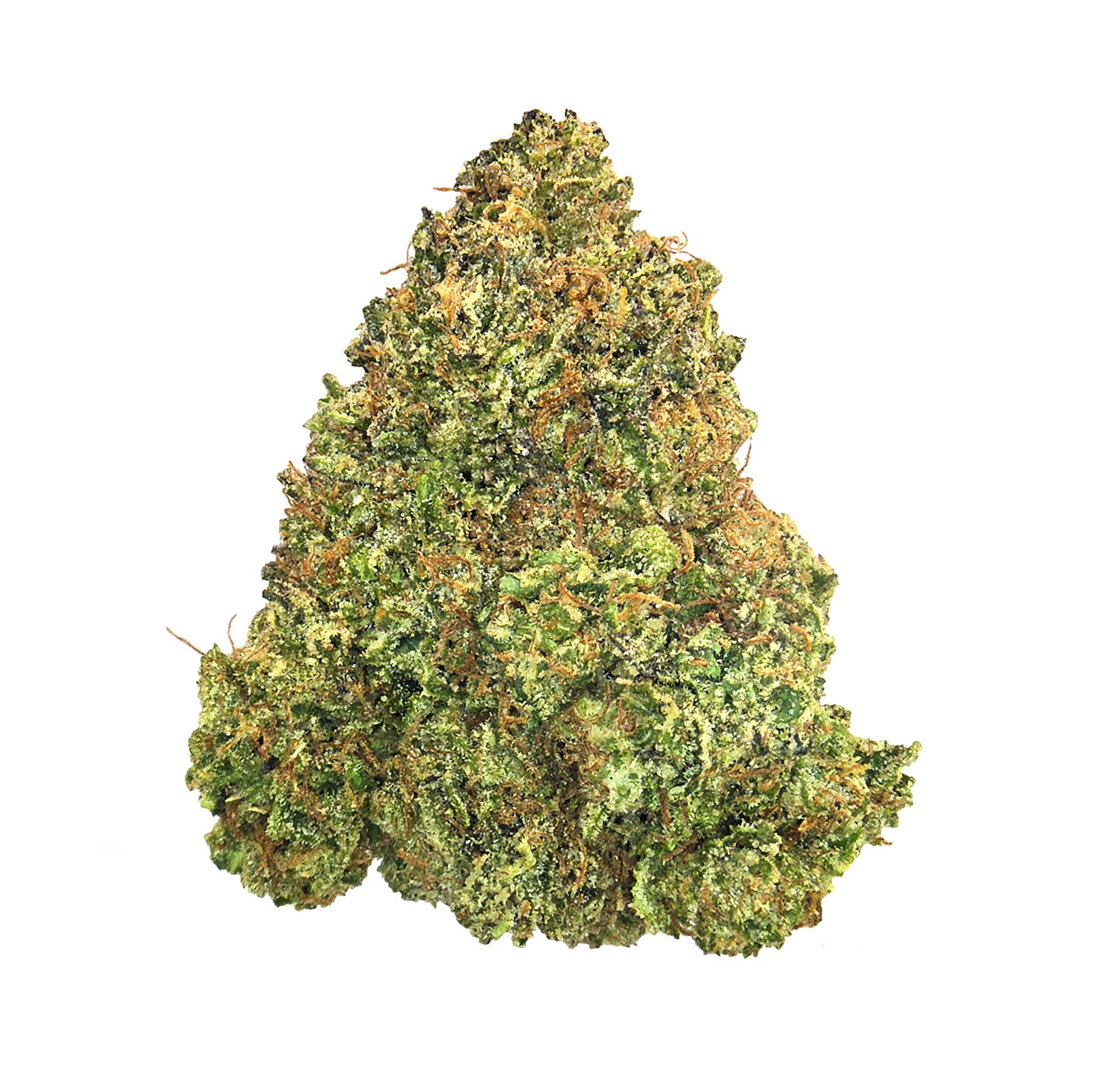 London Jelly (14G) · Sungrown (H)