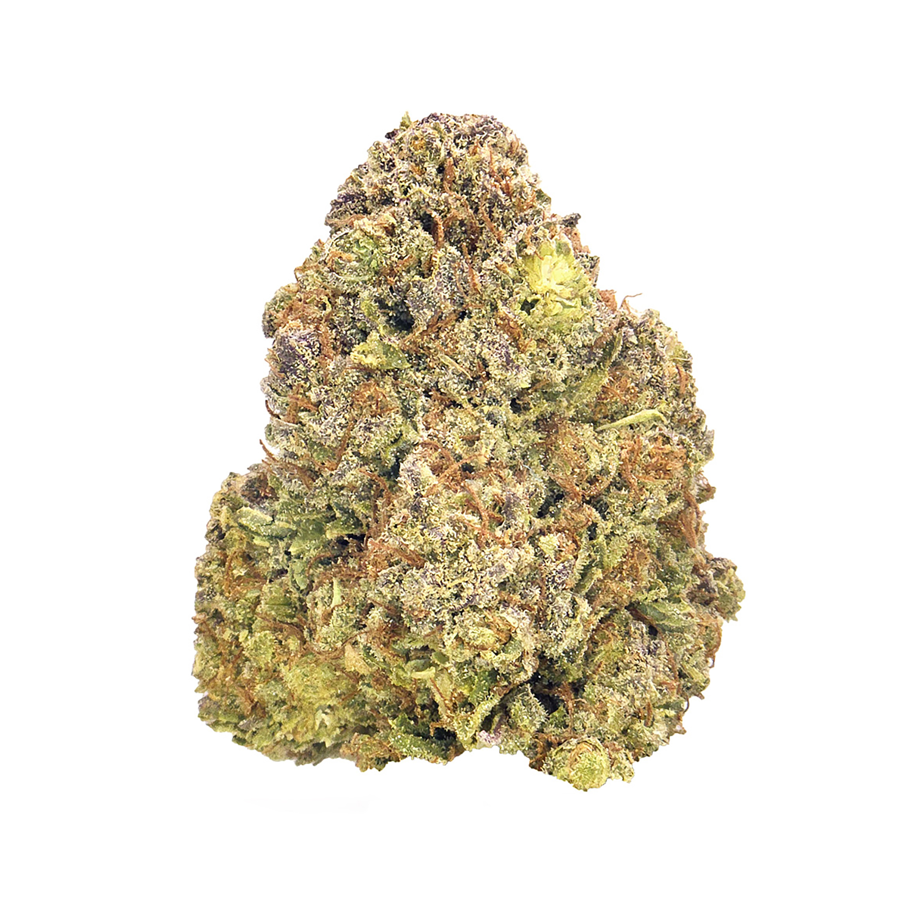 Master Kush · Sungrown (I)
