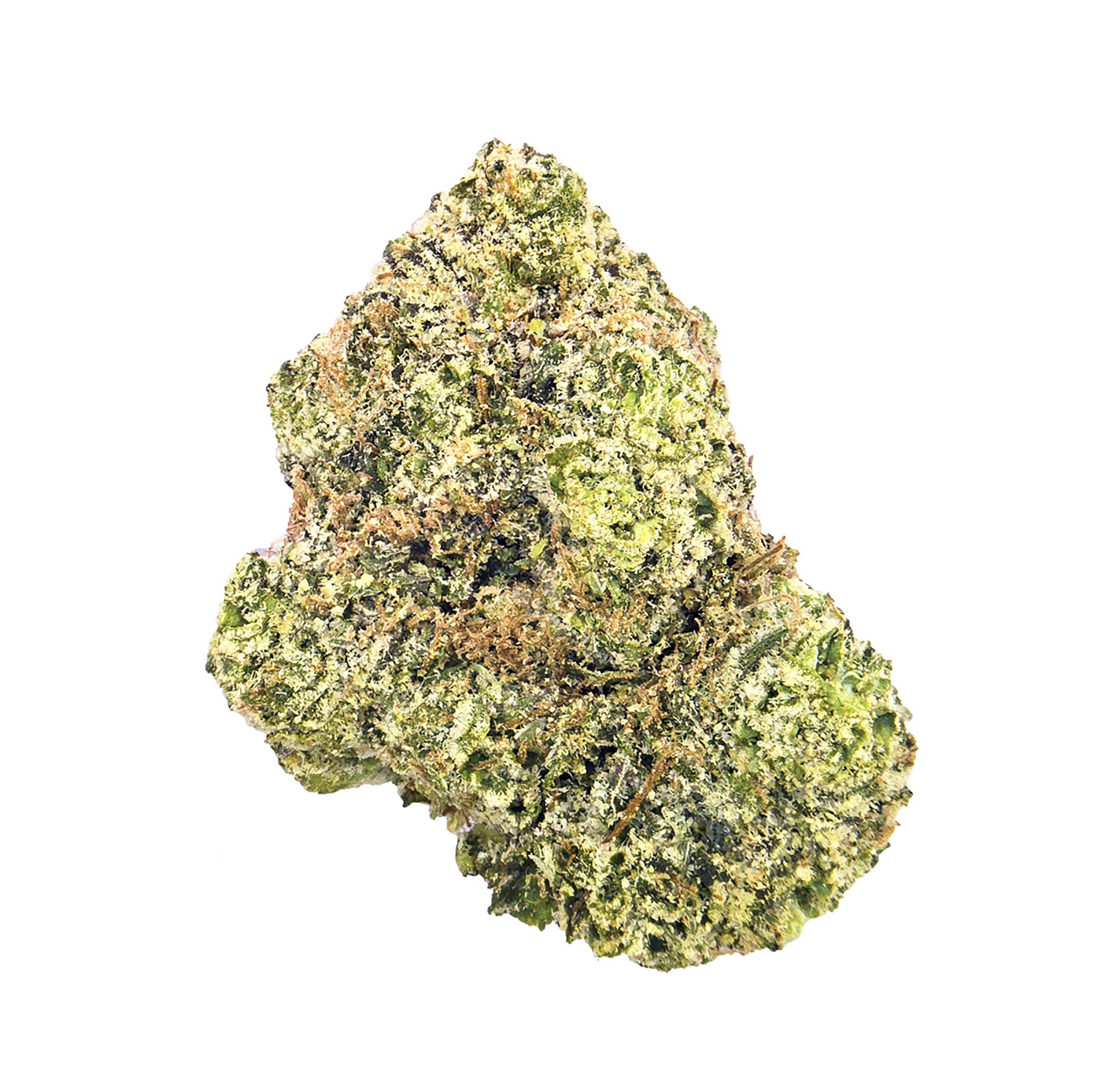 Bubblegum Popperz · Ultra Exotic (H)