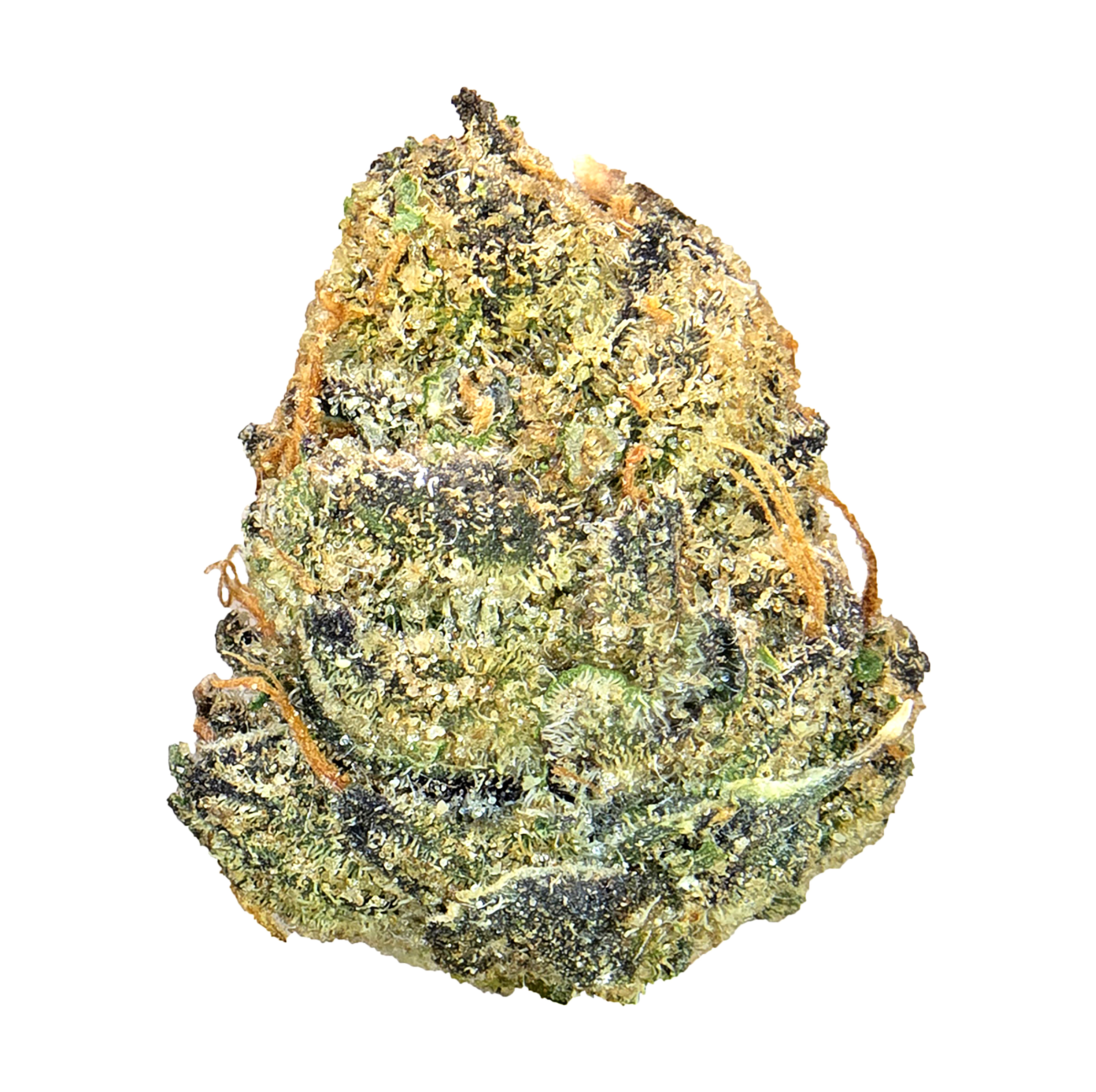 Plum Popperz (14G) · Ultra Exotic Shmediums (I/H)