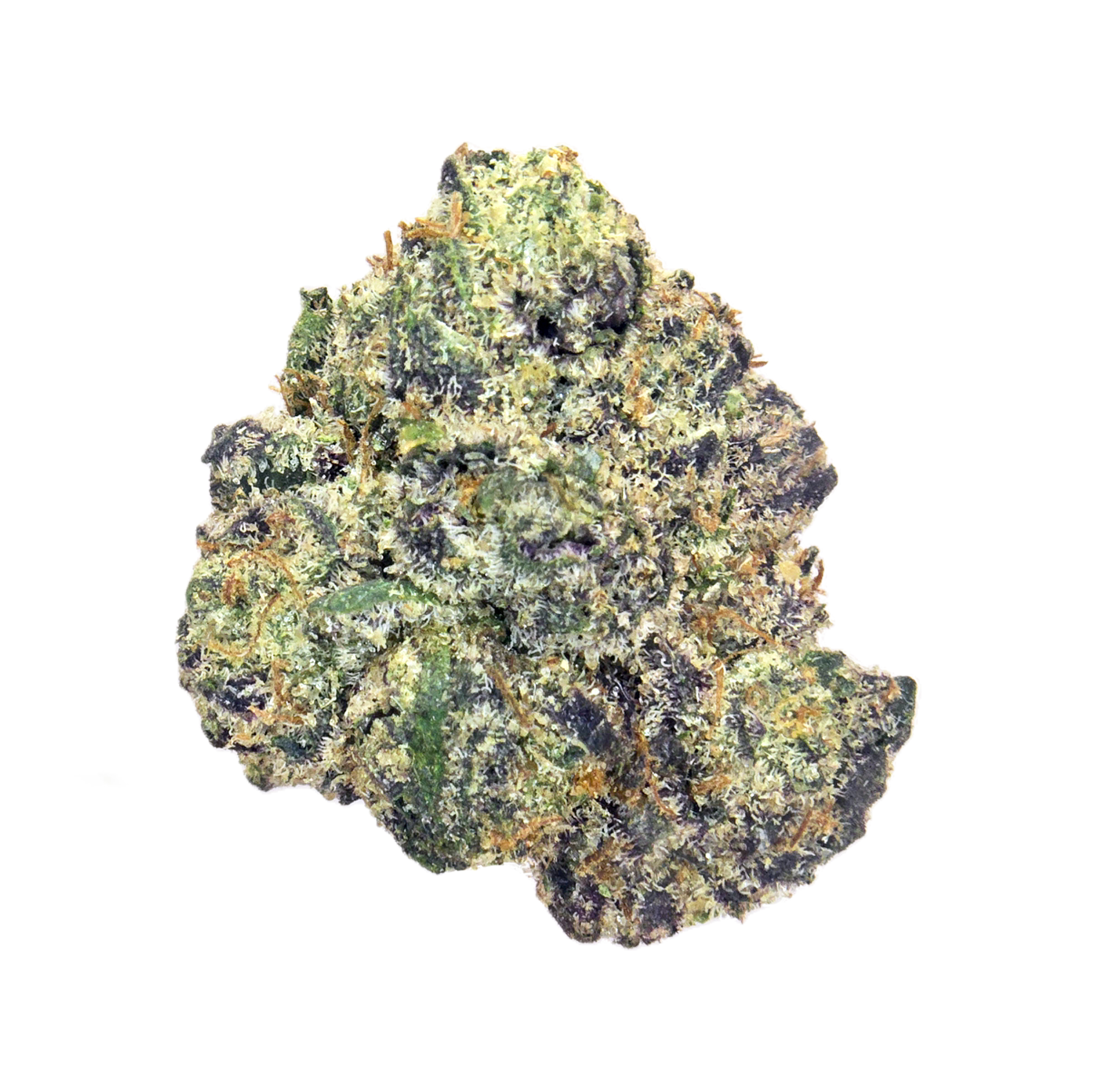 Push Pop (14G) *Ultra Exotic Shmediums* (I/H)