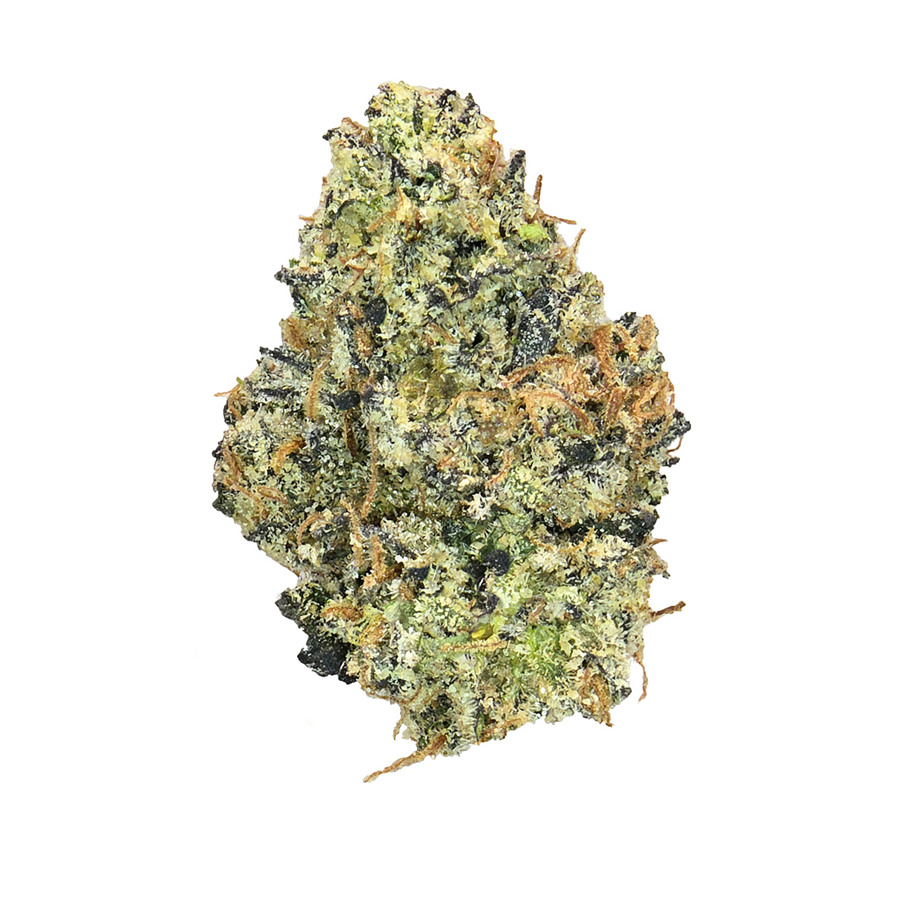 Candy Crashers (14G) *Exotic Smalls* (H)