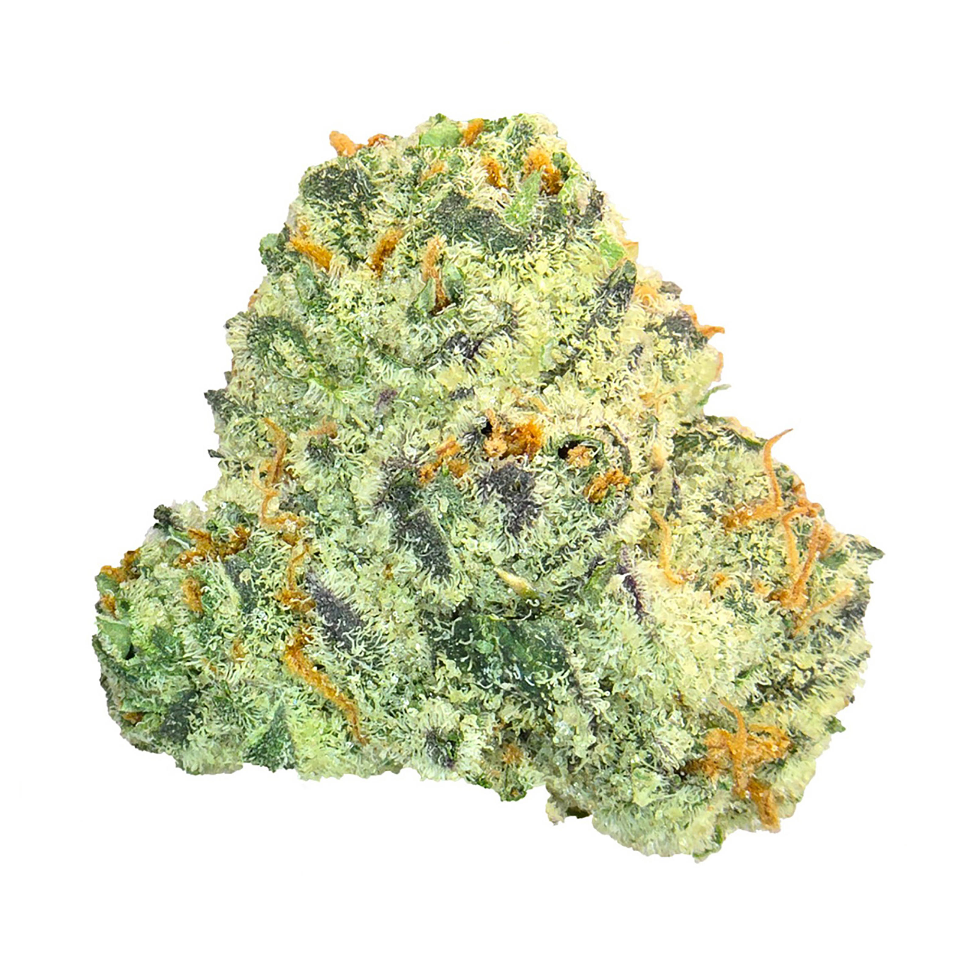 Starburst · Exotic (H)