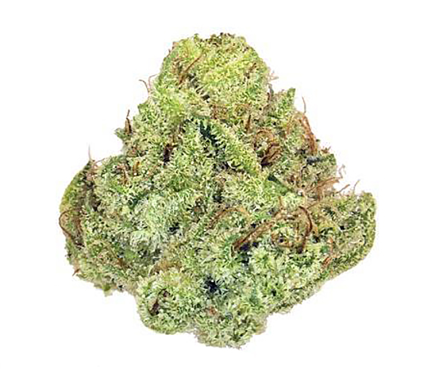 Strawberry Cream · Ultra Exotic Smalls (S)