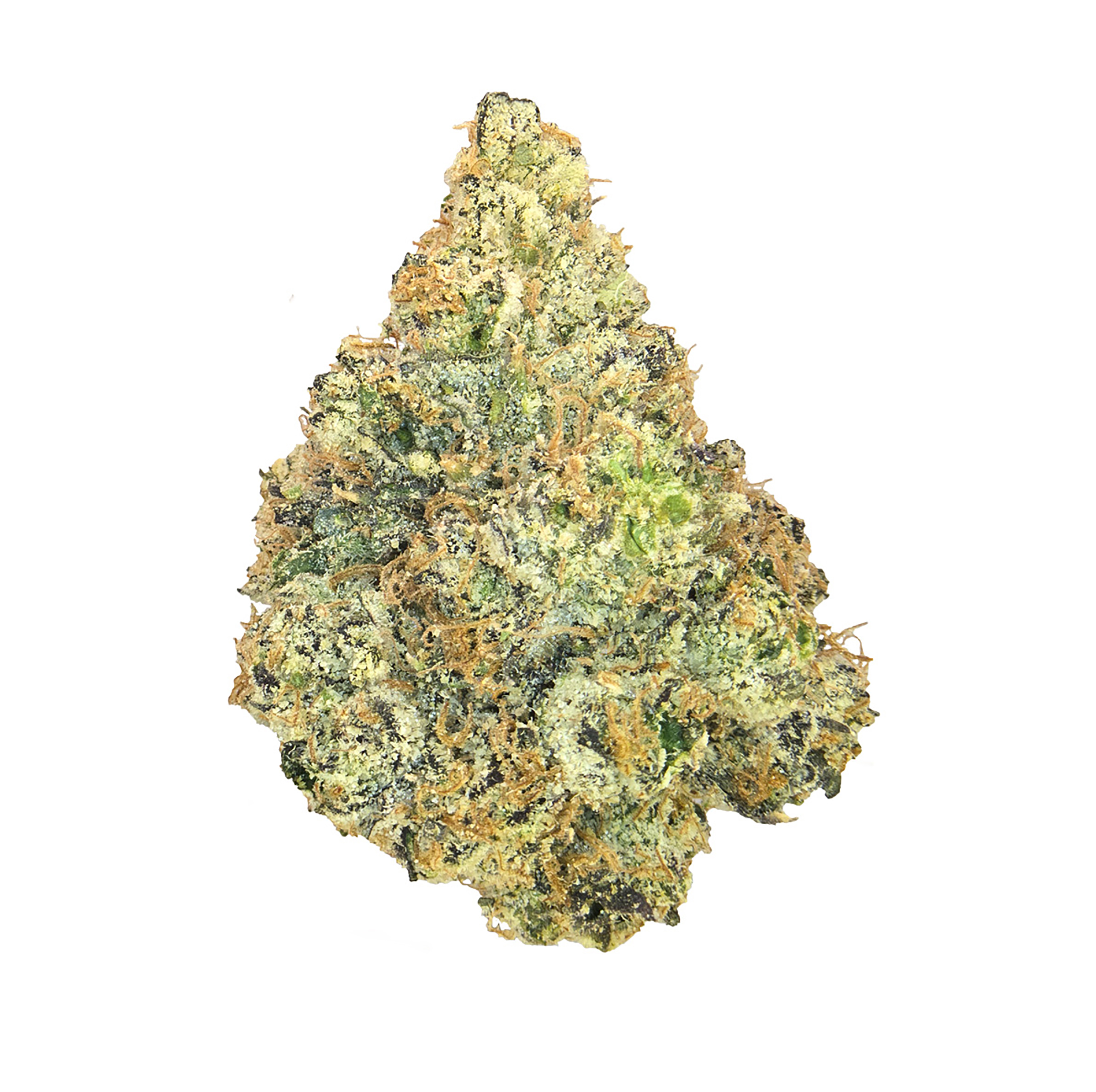 Sunset Sherbert · Exotic (I/H)