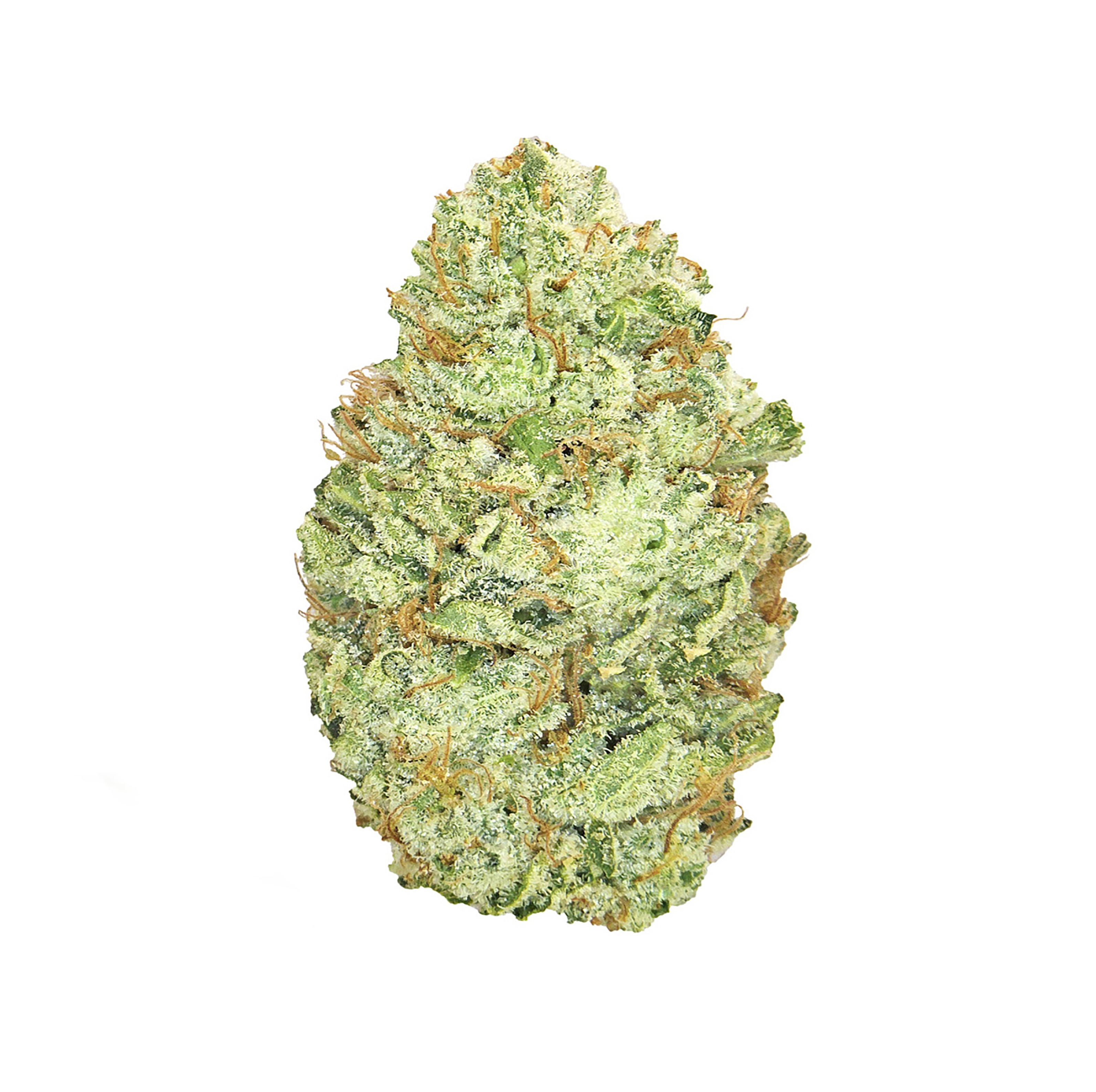 Superglue #4 · Exotic (H)