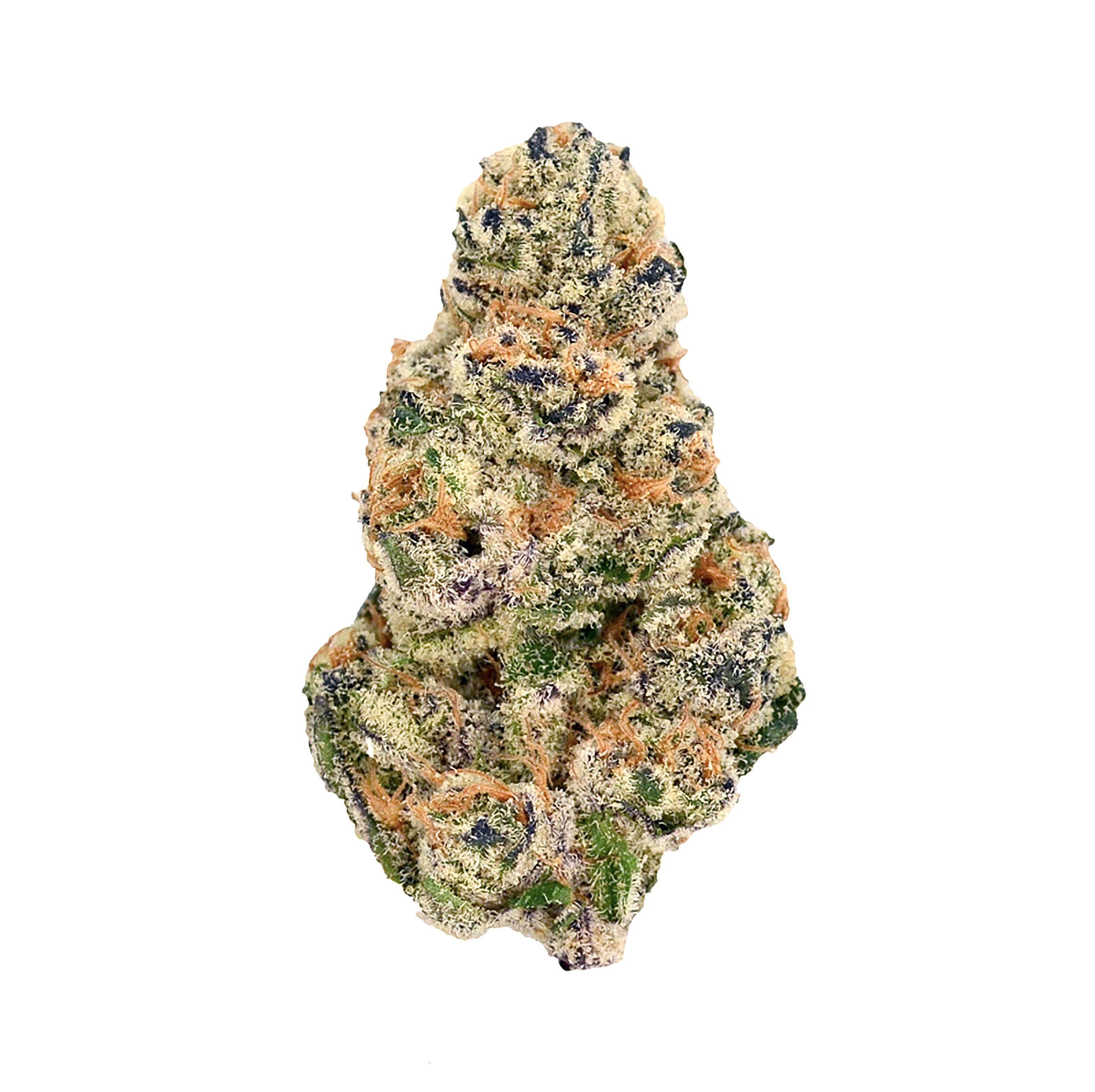 Chocolate Sherbanger · Ultra Exotic (I)