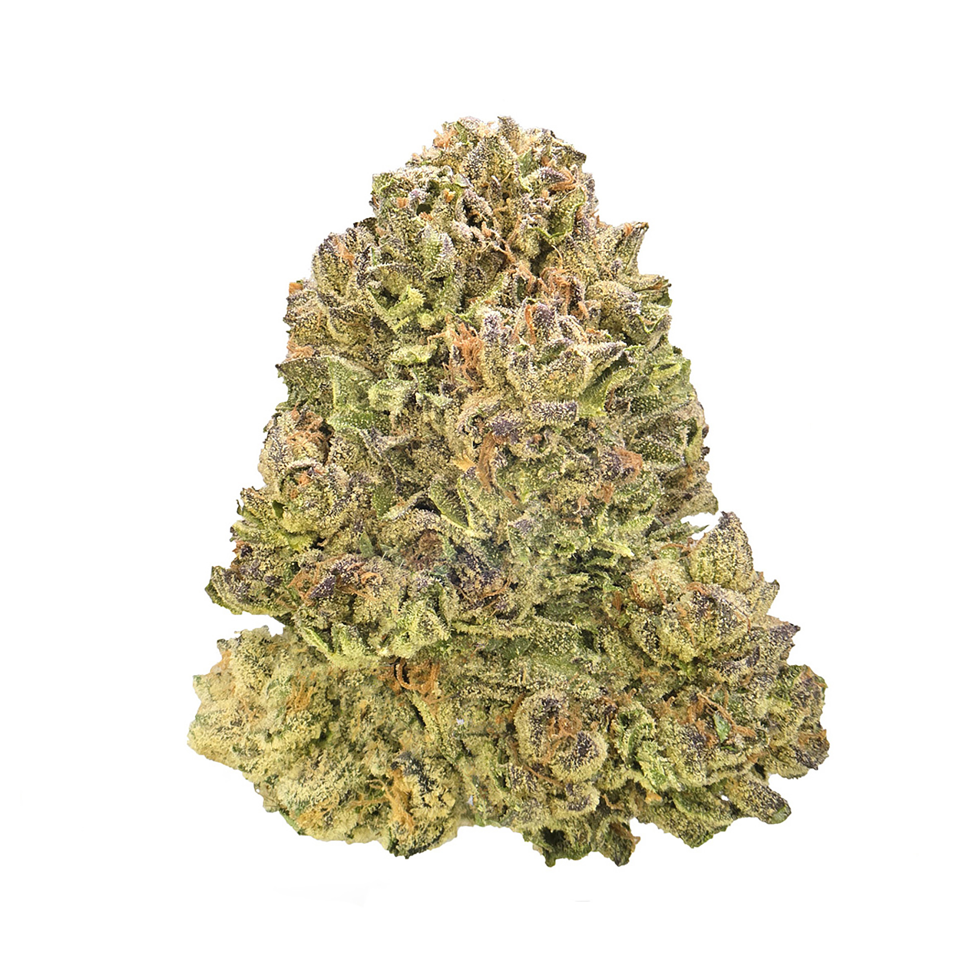 DOLATO · TOP SHELF (I)