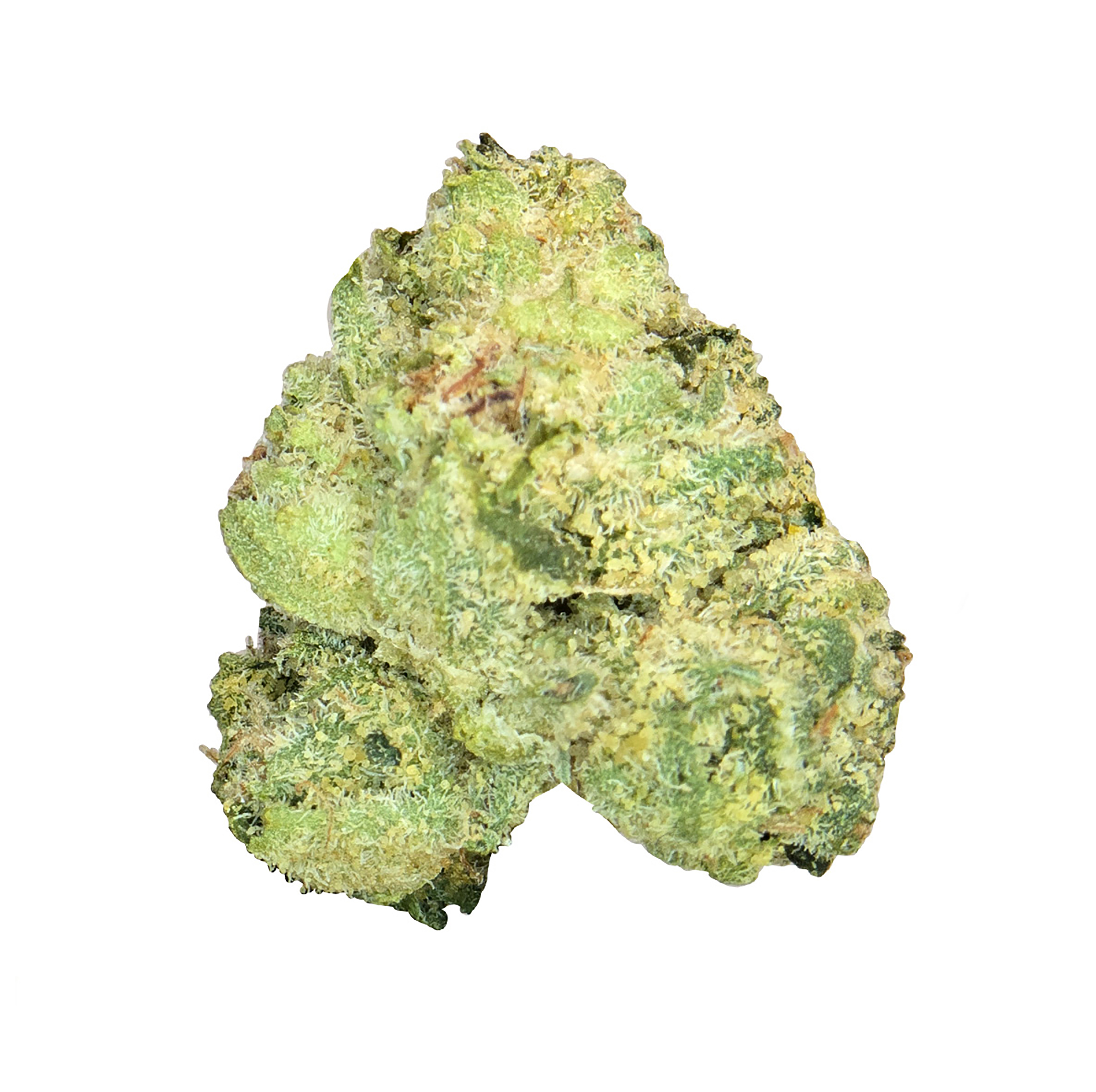 Dosidos (14G) · Ultra Exotic Shmediums (H)