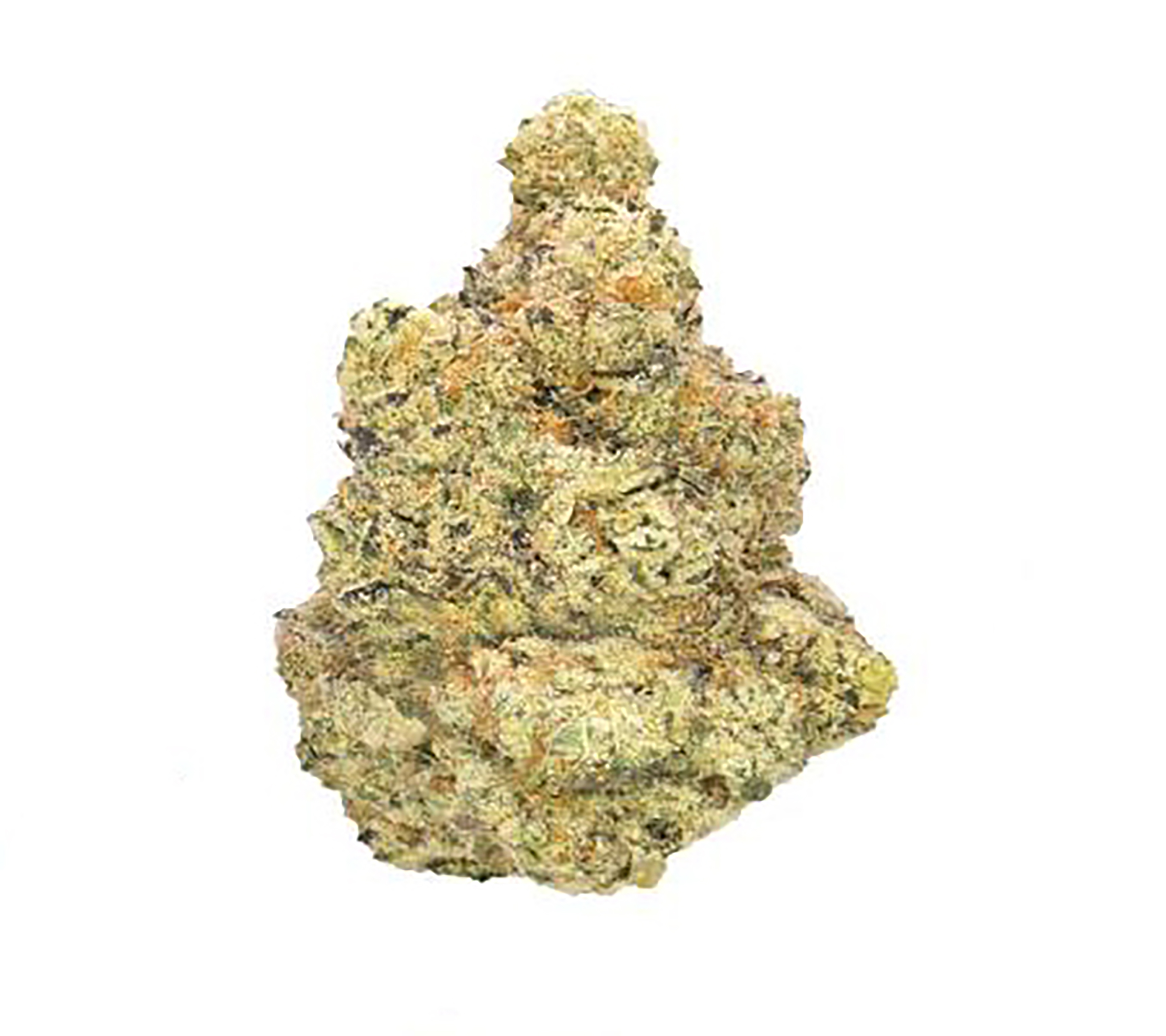 Gelato 41 · Top Shelf (H)