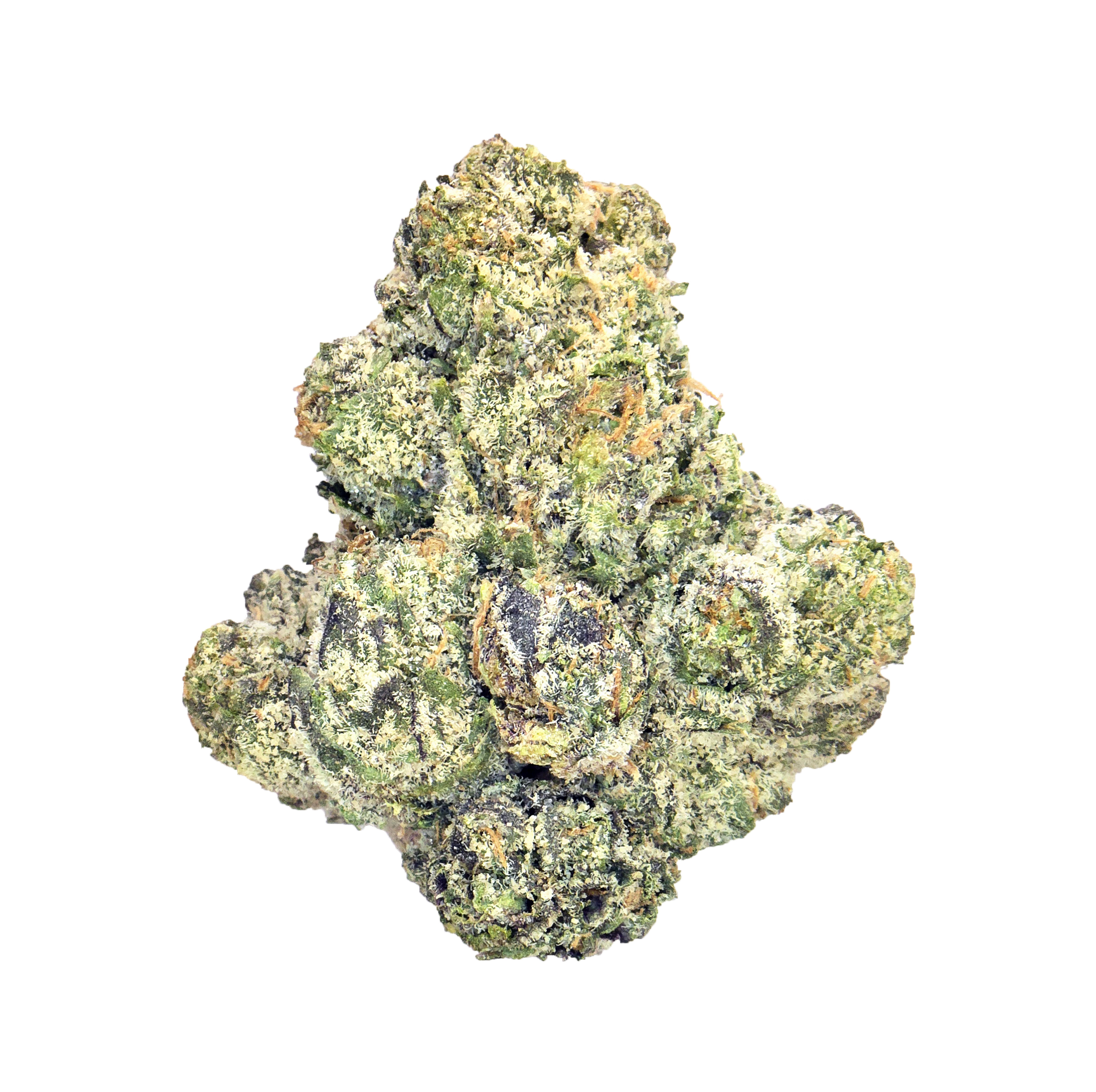 Godfather O.G. (14G) *Exotic Smalls* (I/H)