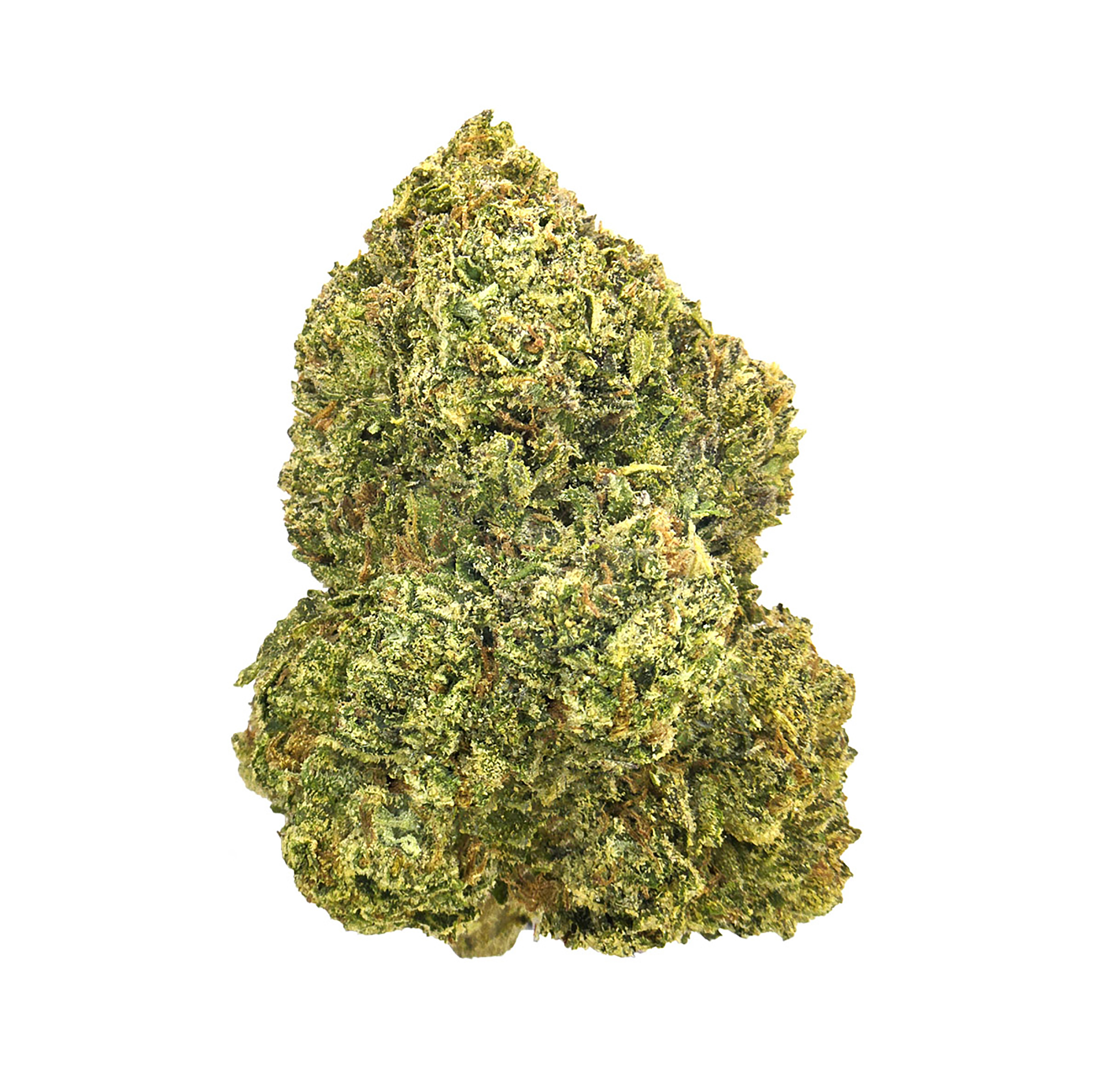 Golden Graham (14G) · Sungrown (S)