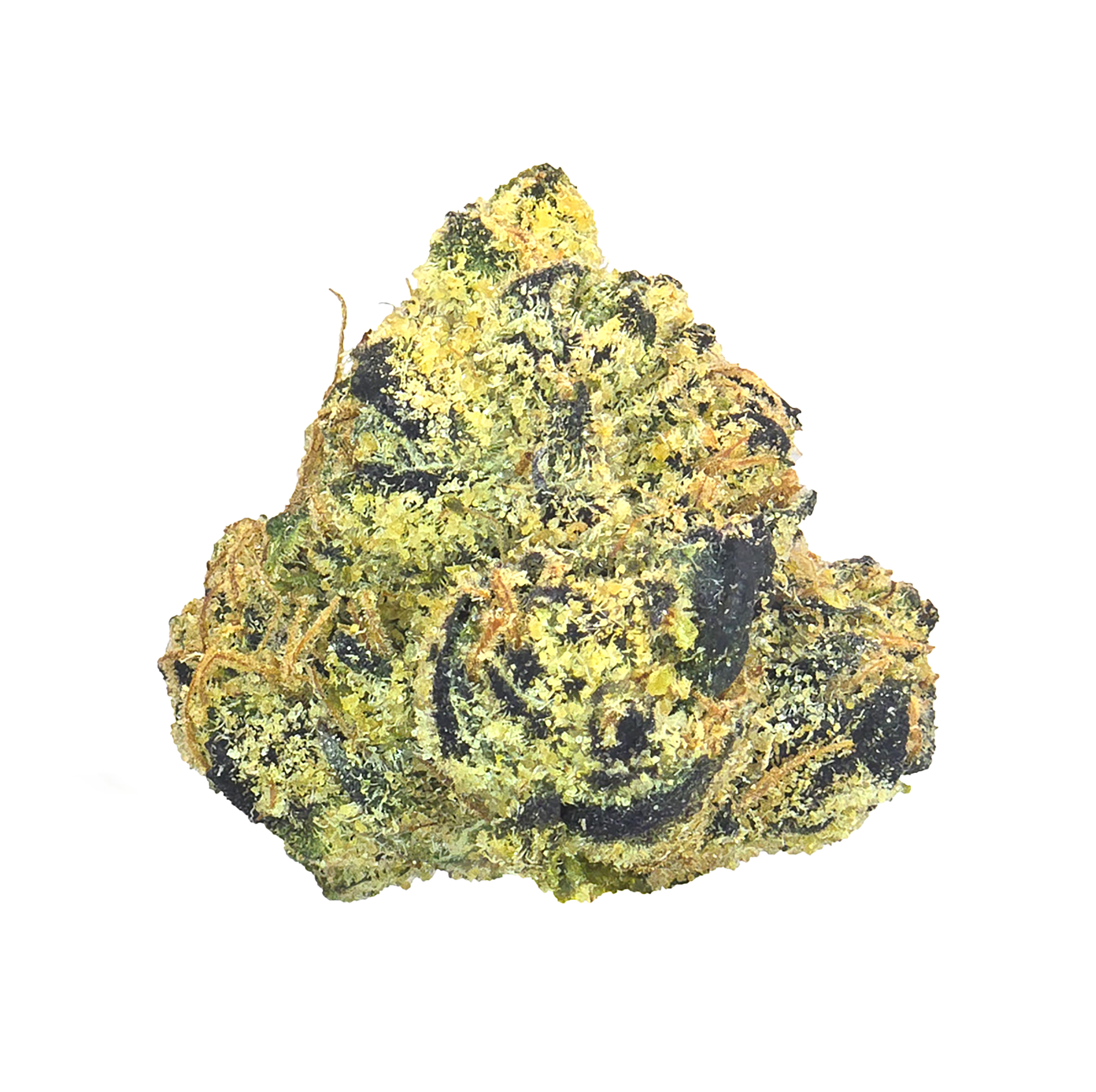 Gumdrop (14G) · Ultra Exotic Smalls (H)