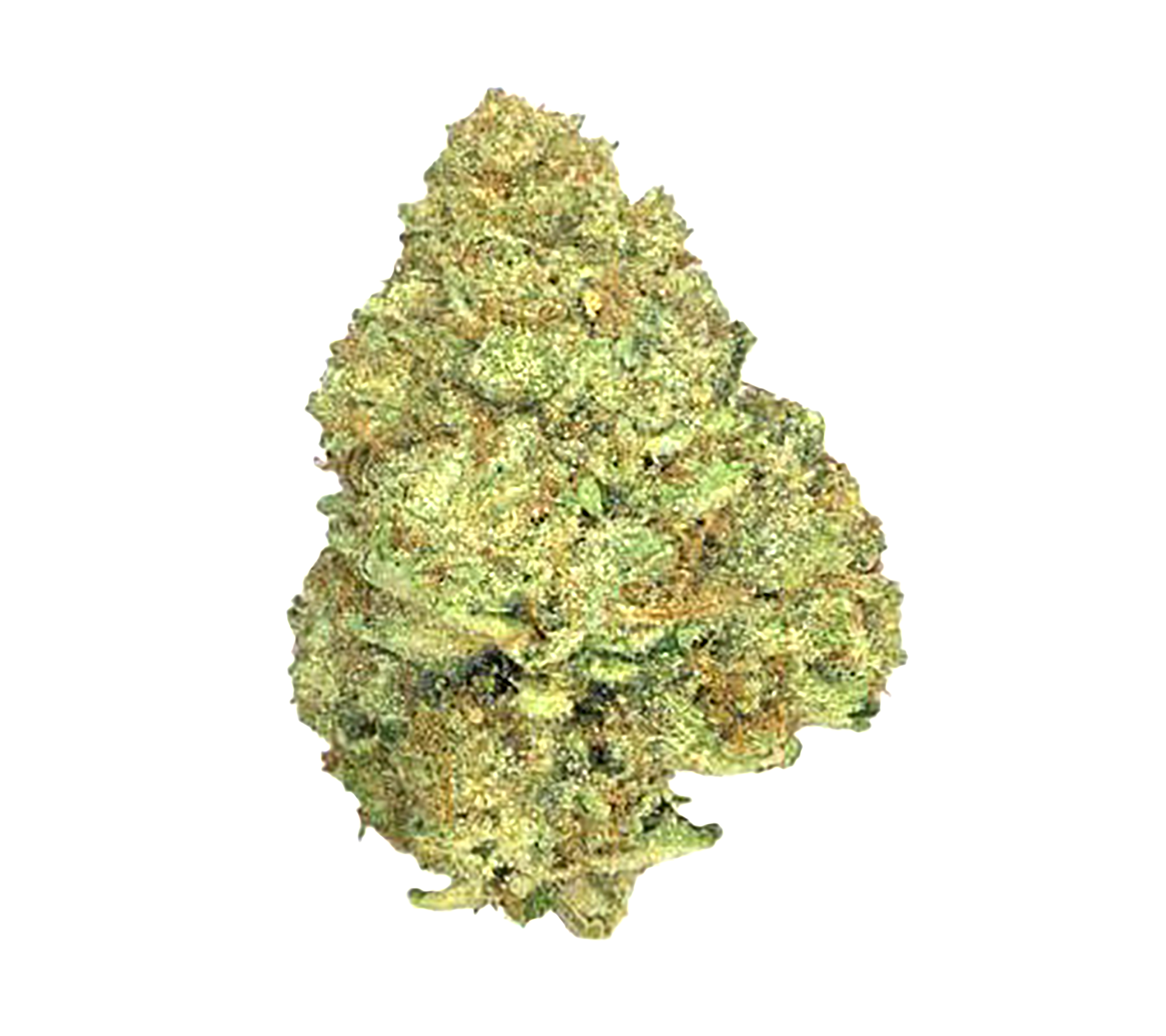 Hawaiian Punch · Top Shelf (S)