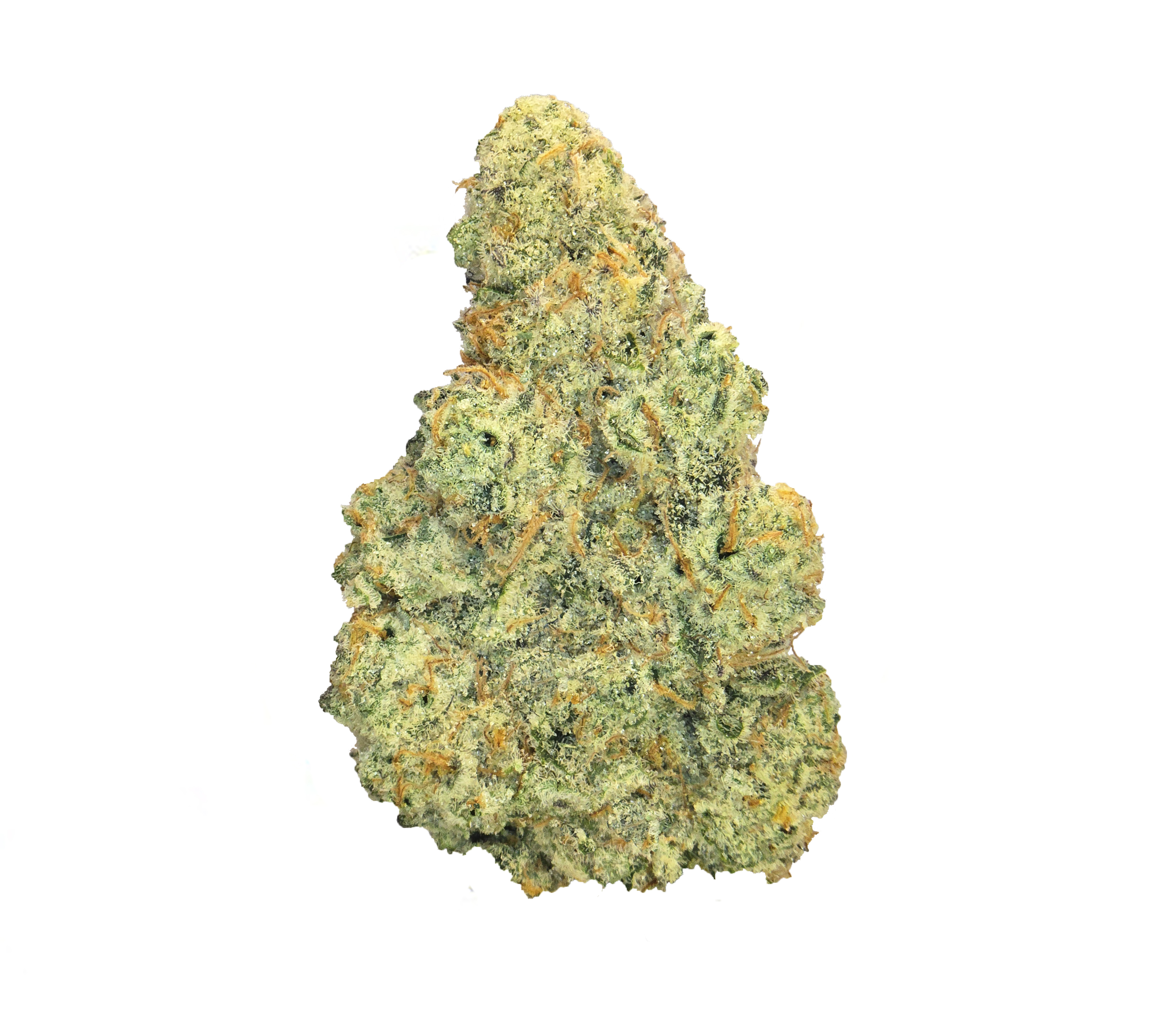 Hawaiian Snow · Ultra Exotic (S)