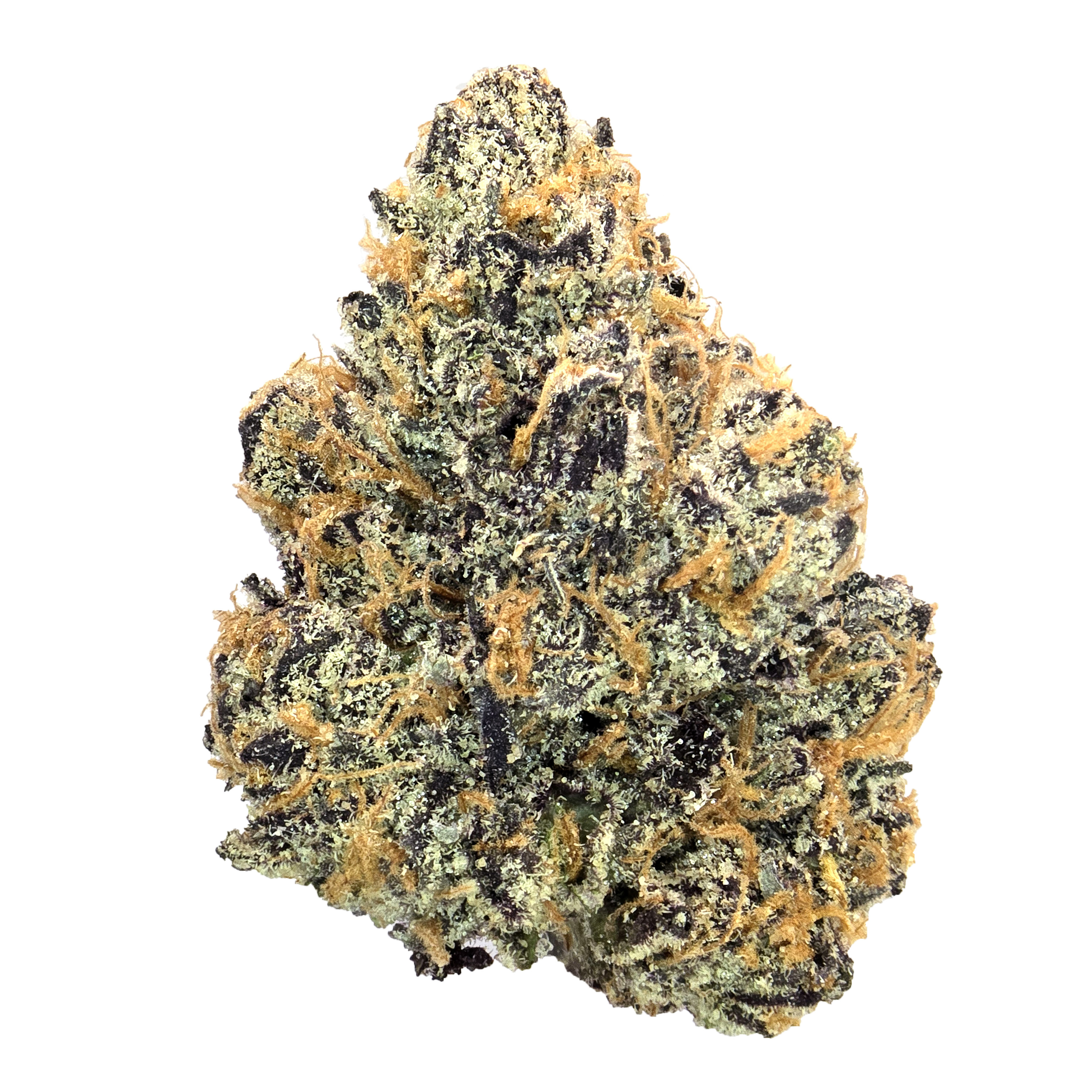 Blue Nerdz · Exotic (H)