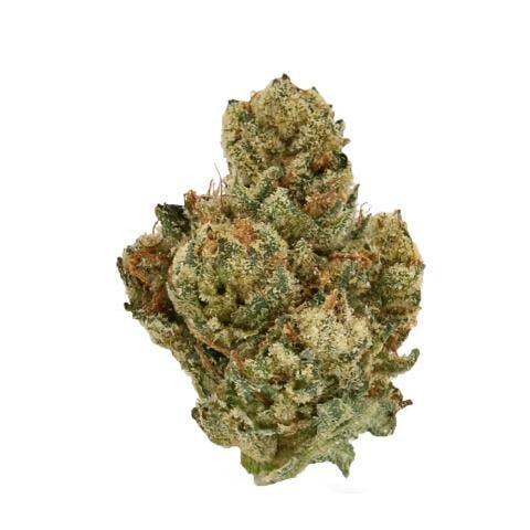 Alien Og *Ultra Exotic Smalls* (I)