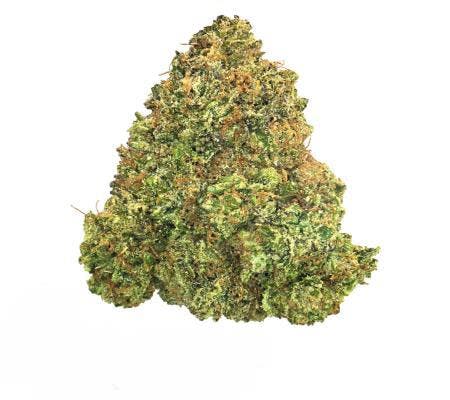 London Jelly (14G) *Sungrown* (H)