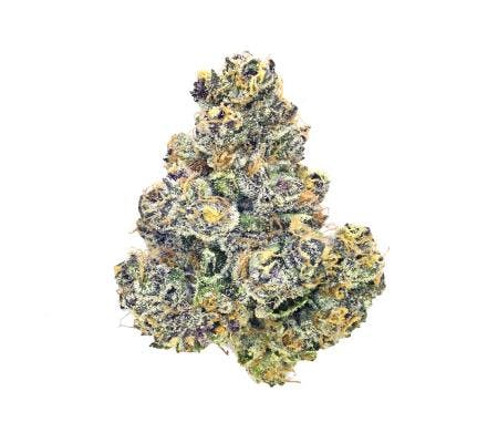 Blueberry Muffin *Ultra Exotic* (I)