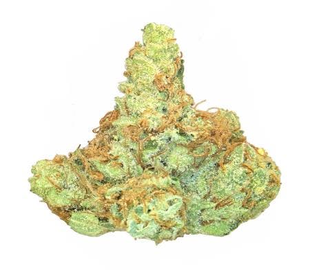 Pineapple Express (14G) *Ultra Exotic Shmediums* (S)