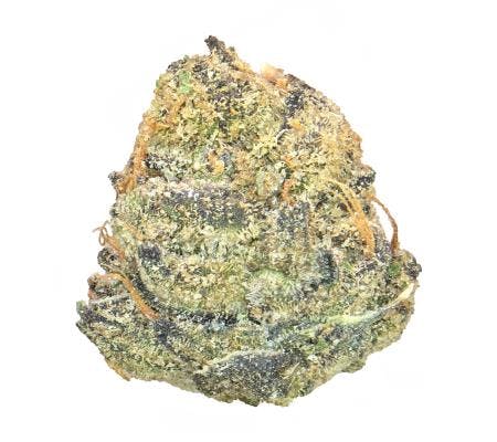 Plum Popperz (14G) *Ultra Exotic Shmediums* (I/H)