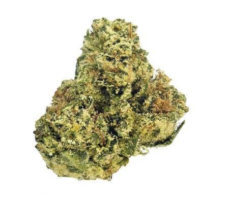 Presidential O.G. (14G) *Exotic Smalls* (I)