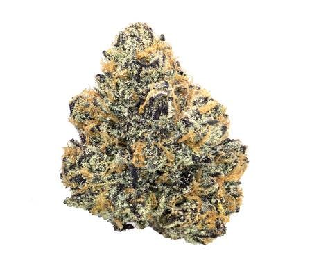 Purple Kush *Ultra Exotic* (I/H)