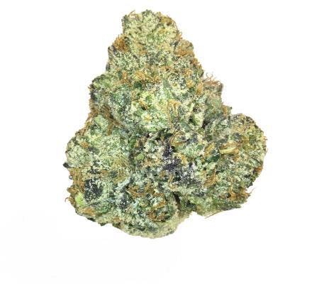 Slurricane *Ultra Exotic* (I)