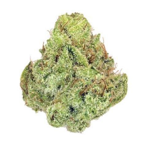 Strawberry Cream *Ultra Exotic Smalls* (S)