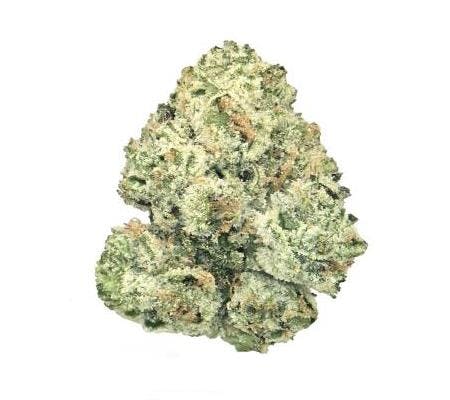 Super Silver Haze *Top Shelf* (S)