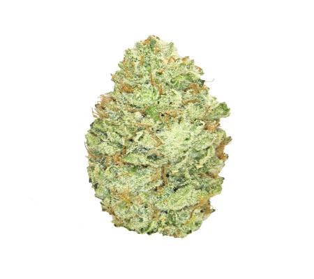 Superglue #4 *Exotic* (H)
