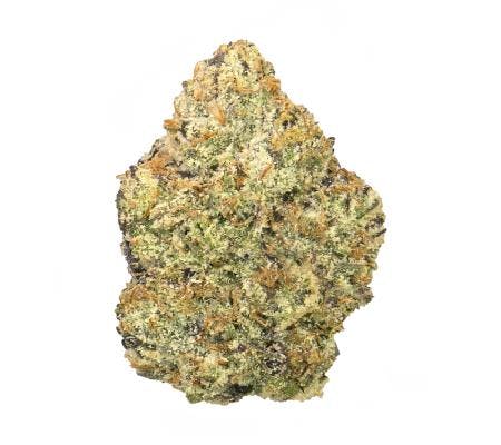Cap Junky (14G) *Ultra Exotic Smalls* (H)