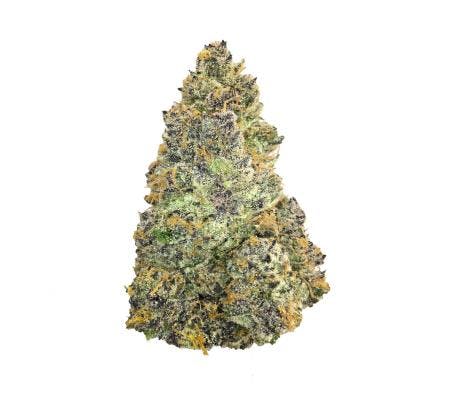 Tropicana Cookies *Ultra Exotic* (S)