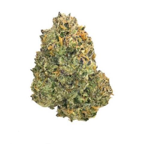 Truffle Cherry *Exotic* (H)