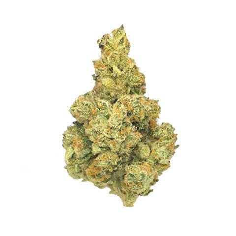 Watermelon Gelato *Top Shelf* (I)