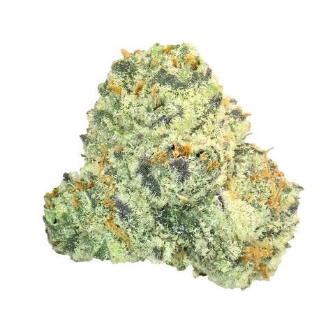 White Widow (14G) *Exotic Smalls* (H)