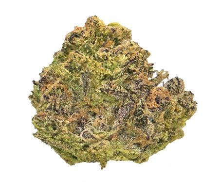 Double O.G. (14G) *Greenhouse* (I)