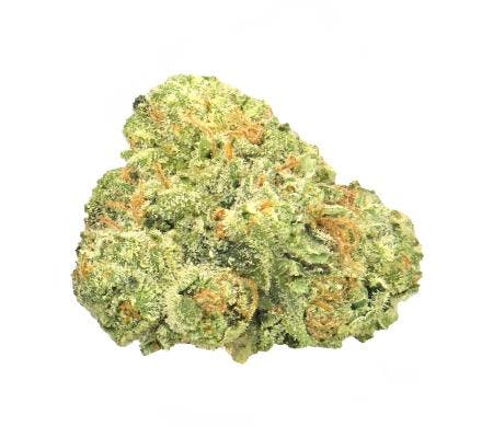 Dream Queen (14G) *Exotic Smalls* (S)