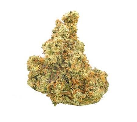 Dutch Treat *Ultra Exotic* (I/H)
