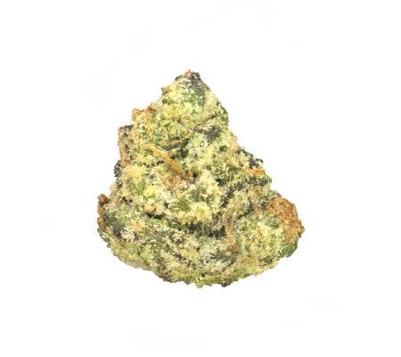 Gastro Pop *Ultra Exotic Smalls* (H)