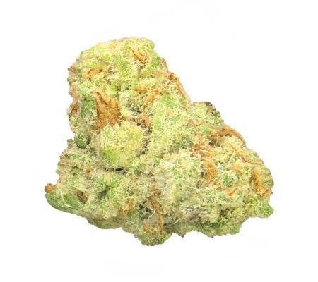 Guava (14G) *Ultra Exotic Smalls* (S)