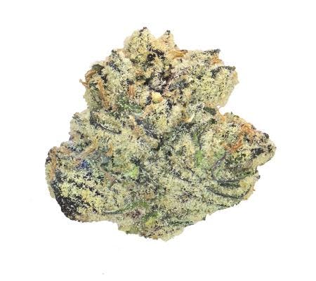 Blue Dream *Ultra Exotic* (S)