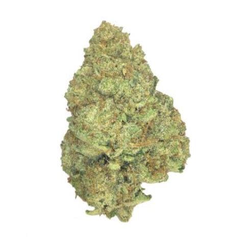 Hawaiian Punch *Top Shelf* (S)