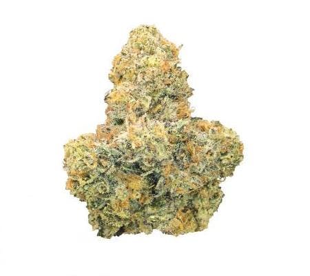 Island Sweet Skunk *Exotic* (S)