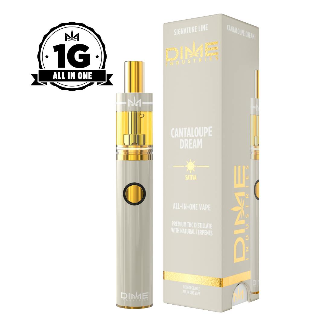 Dime Cantaloupe Dream 1G All In One Device (S)
